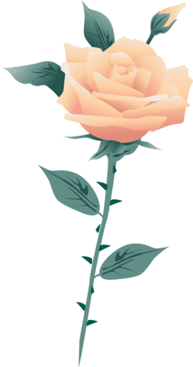000000000000000000000000000000000000000000000000000000000-rose-blanche-by-clem_render.png