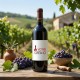 Vin Boulaouane