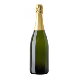 Champagne Alexandre Bonnet Brut