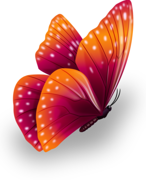 butterfly_render.png