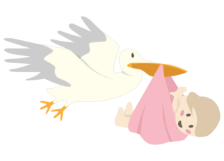 cigogne-fille_render.png