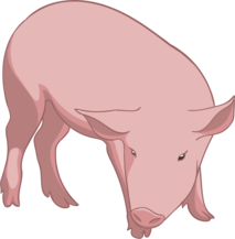 cochon_render.png