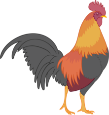 coq_render.png