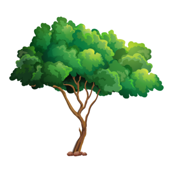 nature-arbre-3_render.png