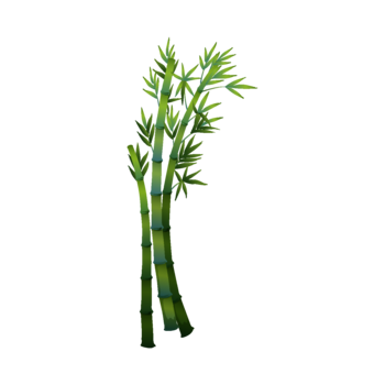 nature-bambou_render.png