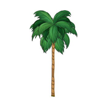 nature-palmier-1_render.png