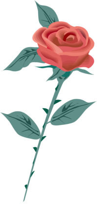 rose_render.png