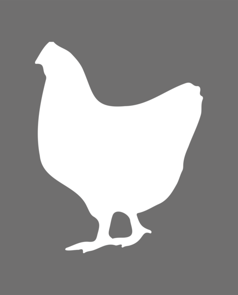 poule-forme_render.png